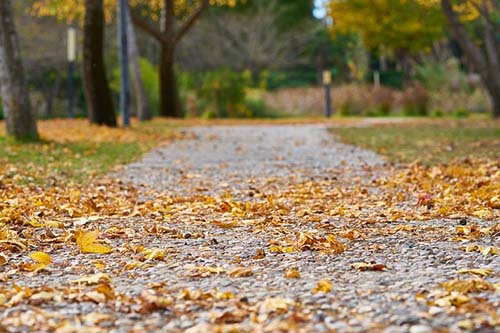 mansfield-mowing-mulching-leaves